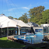 Abbildng: Platzhalter