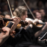 Abbildng: Platzhalter