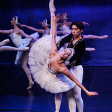 Abbildng: Platzhalter