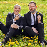 Abbildng: Platzhalter