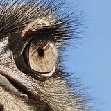 Abbildng: Platzhalter