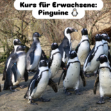 Abbildng: Platzhalter